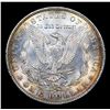 Image 3 : 1904-o Morgan Dollar $1 Graded ms66 By SEGS