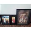 Image 1 : 3 Framed Pictures