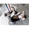Image 3 : Set Of Golf Clubs Left Handed, With Case And Cart