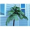 Image 2 : patio palm tree (lights up)