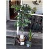 Image 1 : Large artificial fig tree and more