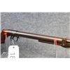 Image 3 : Vintage BSA .22 Airgun