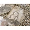 Image 9 : Large Box of mercruiser and OMC gaskets