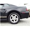 Image 22 : B1 --  2000 FORD MUSTANG, Black, 192303 KM