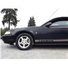 Image 24 : B1 --  2000 FORD MUSTANG, Black, 192303 KM