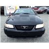 Image 5 : B1 --  2000 FORD MUSTANG, Black, 192303 KM