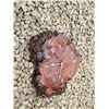 Image 7 : Burl Table & Burl Clock
