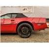 Image 60 : 0B --  1990 CHEVROLET CORVETTE CONVERTIBLE, Red, 182758 KM