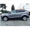 Image 21 : C6B --  2013 FORD ESCAPE SE ECO BOOST, Silver, 155661 KM