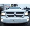 Image 3 : F2 --  2008 DODGE DAKOTA SXT 4X4, White, 285397 KM