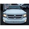 Image 4 : F2 --  2008 DODGE DAKOTA SXT 4X4, White, 285397 KM