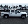 Image 9 : F2 --  2008 DODGE DAKOTA SXT 4X4, White, 285397 KM