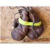 Image 2 : Set of Antique 1950's Boxing Gloves
