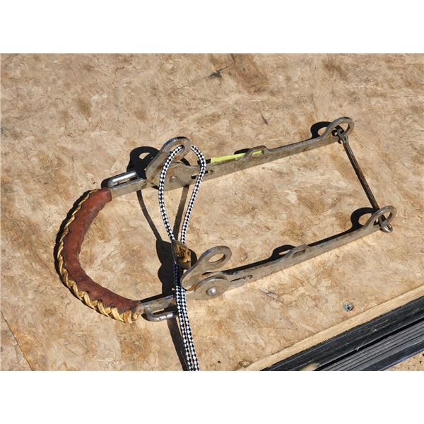 Metal Horse Reins and Bolo Tie