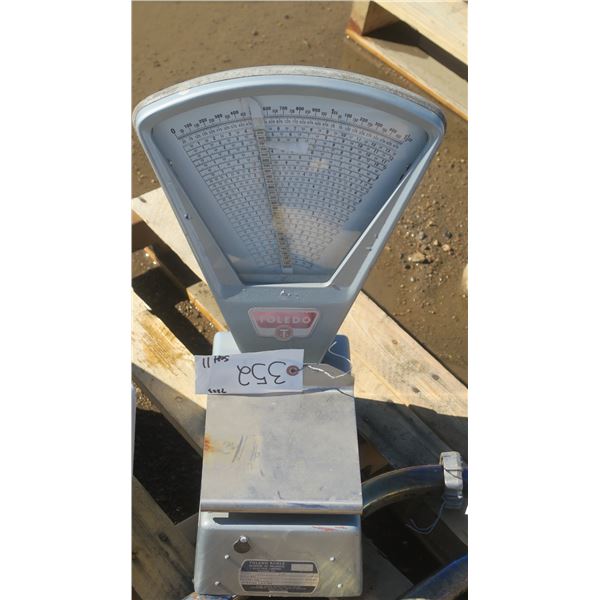 Small Toledo scale grey