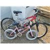 Image 1 : 2 bicycles - one girls, one boys