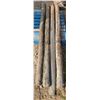 Image 1 : four 8 foot treated fence posts (used)