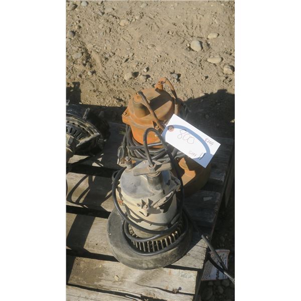2 small sump pumps