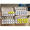 Image 1 : 4 dozen (48) golf balls - top flite, Titleist