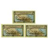 Image 2 : Vladikavkaz Railroad Co., 1918 Issued Banknote Trio
