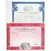 Image 1 : J.P. Morgan Specimen Stock and Bond Pair, ca.1920 and 1972