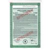 Image 1 : Apple Computer, Inc., 1996 Specimen Coupon Bond