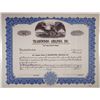 Image 1 : Tradewinds Airlines, Inc. ca. 1930s Unissued Stock Certificate