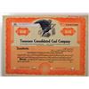 Image 1 : Tennessee Consolidated Coal Co., ND (ca.1920-30s), Specimen Stock Certificate