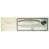 Image 1 : Syndicate Protector Milling Co. 1880s Specimen Stock Certificate