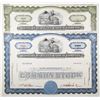 Image 1 : Western Maryland Railway Co., 1940-60's, Specimen Stock Certificate Pair