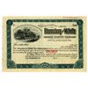 Image 1 : Bloomsberg and Millville Street Railway Co., ca.1900-1910 Specimen Stock Certificate