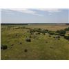 Image 6 : 116 +/- Acres of CRP and Native Grassland