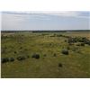 Image 7 : 116 +/- Acres of CRP and Native Grassland