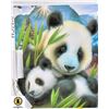 Image 1 : NEW DIY PAINT BY NUMBERS 50CM X 40CM PANDAS