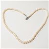Image 1 : BZ784-7 SILVER FRESH WATER PEARL 16" NECKLACE