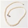 Image 2 : BZ784-7 SILVER FRESH WATER PEARL 16" NECKLACE