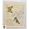 Image 1 : BUTTERFLY AND SPARROW PICTURE