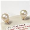 Image 1 : BZ1105-33 10K FRESH WATER PEARL EARRINGS