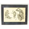 Image 2 : ANIMALS, 10 FINE 1884 STEEL ENGRAVINGS + 1 SAMPLE