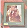 Image 1 : FRAMED GOPHER WALL HANGING 16" X 19"