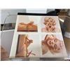 Image 2 : Marilyn 4 Color separations by Bert Stern