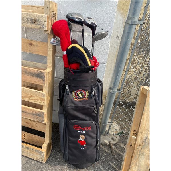 Golf clubs in bag