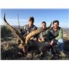 Image 9 : Spain: 4 Day Big Game Hunt for One Hunter, including the trophy fee for 1 Iberian Red Deer Stag