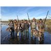 Image 14 : Argentina: 5 Day 6 Night High Volume Duck & Dove Hunt for 3 Hunters