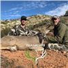 Image 2 : Arizona: 5 Day Trophy Coues Deer Muzzleloader Hunt for 2 Hunters