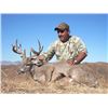 Image 3 : Arizona: 5 Day Trophy Coues Deer Muzzleloader Hunt for 2 Hunters