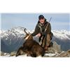 Image 8 : New Zealand: 5 Day Trophy Hunt for 2 Hunters & 2 Observers, including a $9,000 Trophy Free Credit