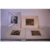 Image 1 : (3) Tom Thomson Prints and a A.Y. Jackson Print