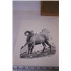 Image 2 : (3) Hap Wilson Wildlife Prints + Frame
