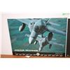 Image 2 : *(2) Fighter Jet Poster Boards